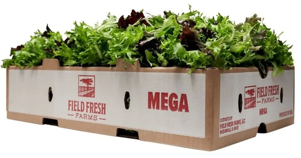 Листовые салаты переходят на северные регионы