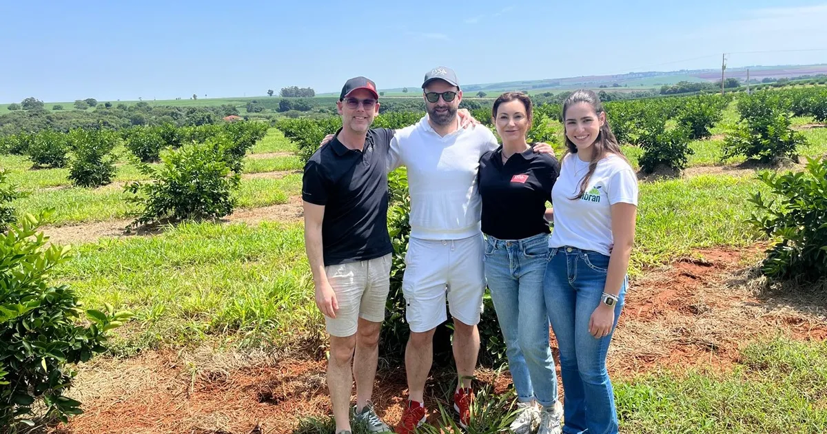 Рынок лаймов восстанавливается, но качество разнится