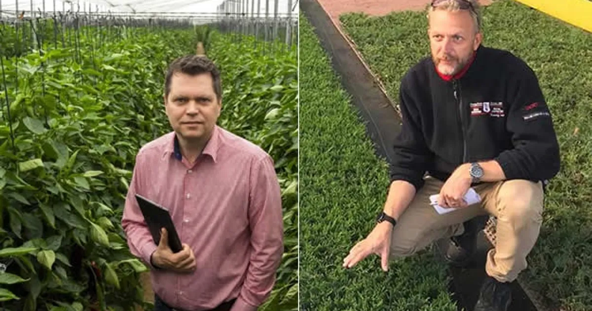 Испанские поставщики: перспективы для экспорта