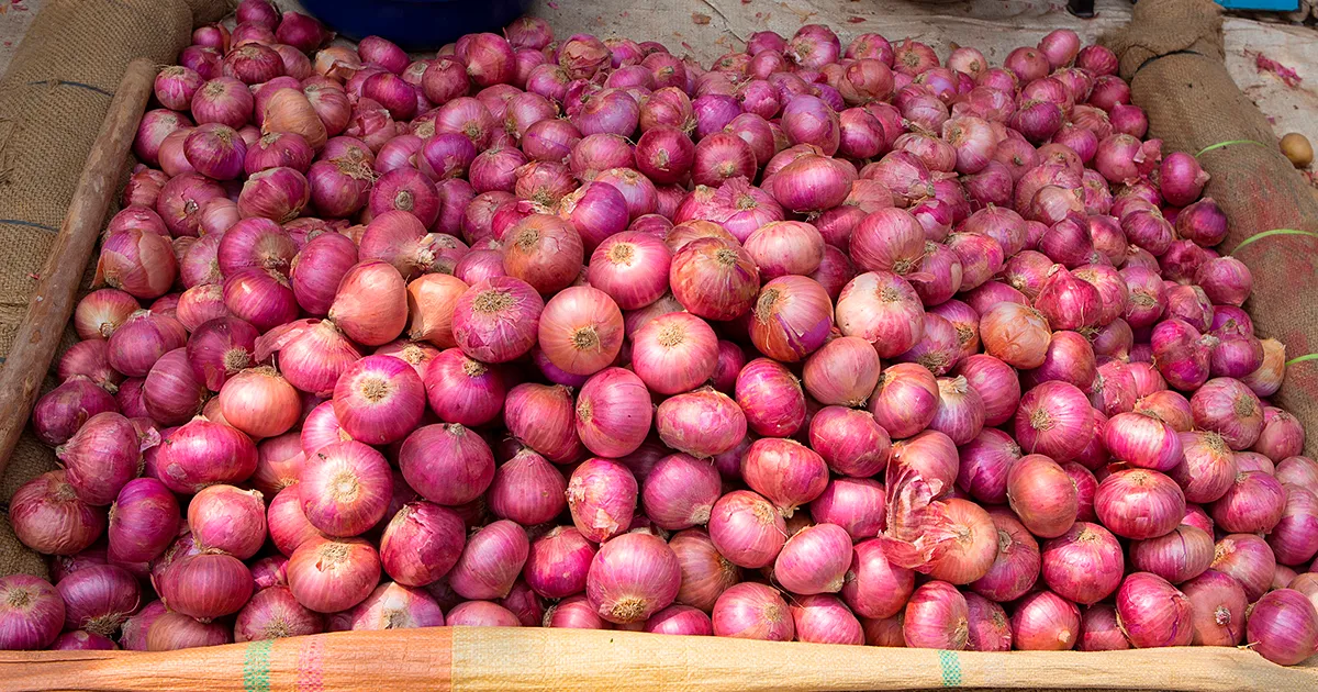 Индия планирует экспортировать 100 тысяч тонн лука в Маврикий