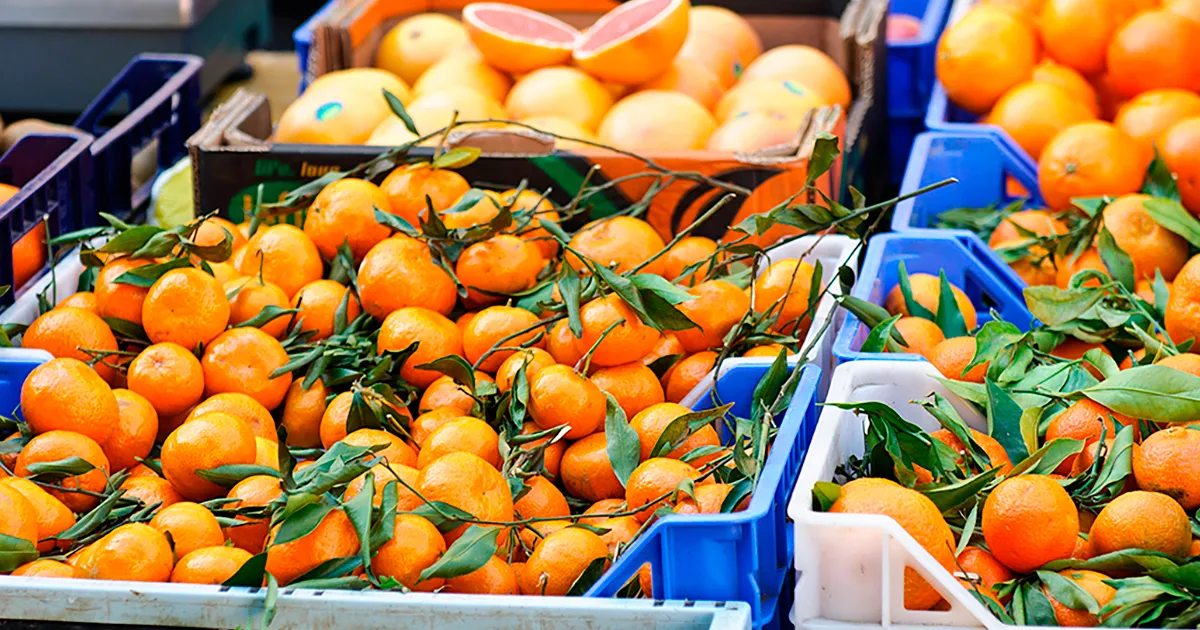 Цены на мандарины в Малайзии падают после китайского Нового года