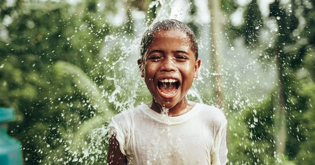 Как манго помогает обеспечивать чистую воду