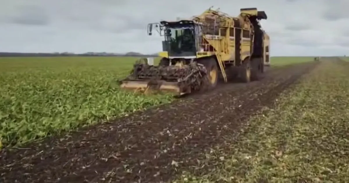 Мельниченко: урожай зерна в 2026 году — минимум 2,8 млн тонн