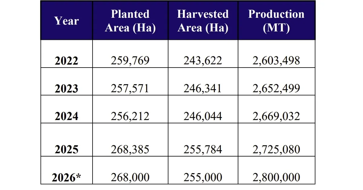 Прогноз производства авокадо в Мексике: 2,8 млн тонн к 2026 году