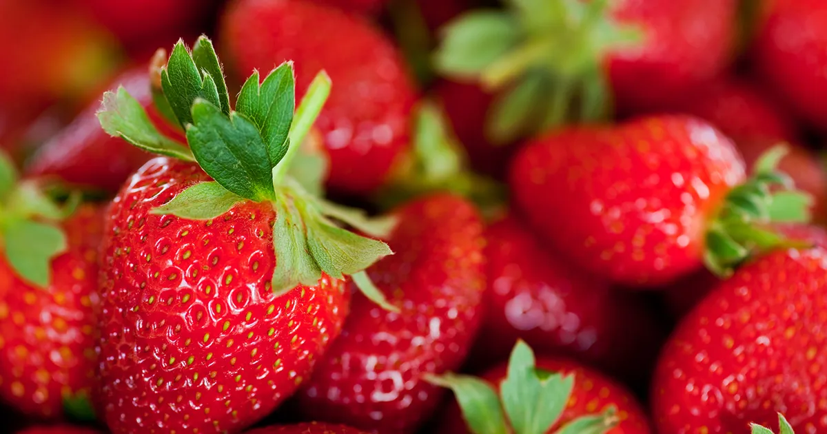 Предсказание роста урожая ягод в Мексике на 4% в 2026 году