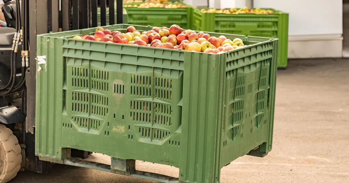 Более 250 контейнеров с французскими яблоками заблокированы