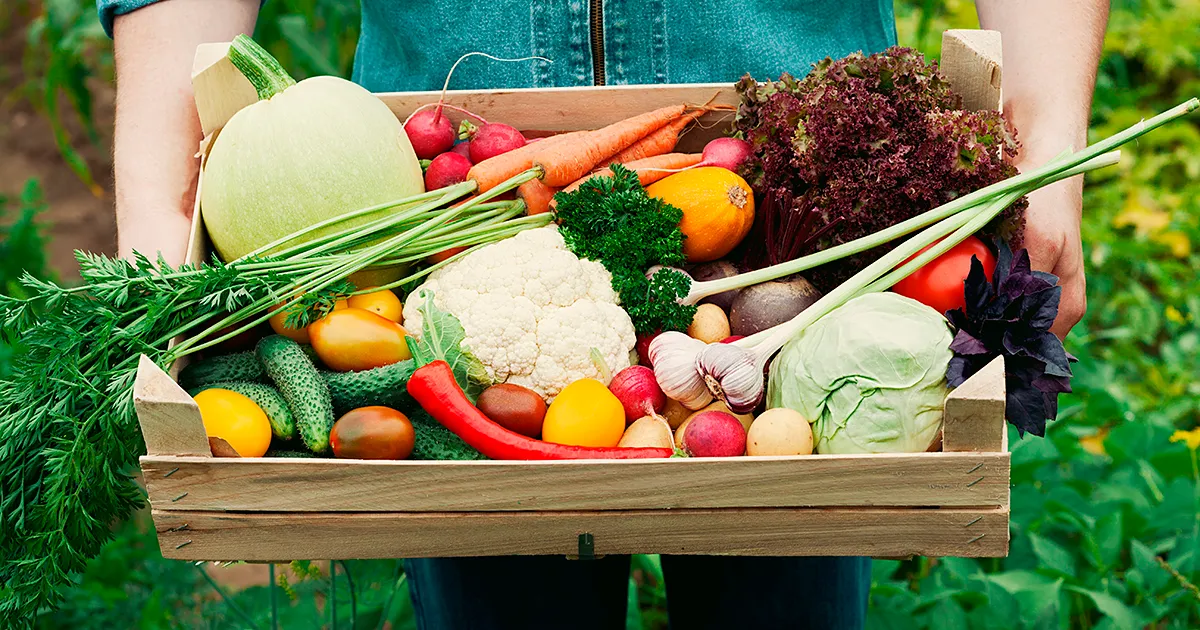 Цены на овощи в Непале выросли до 200% за месяц