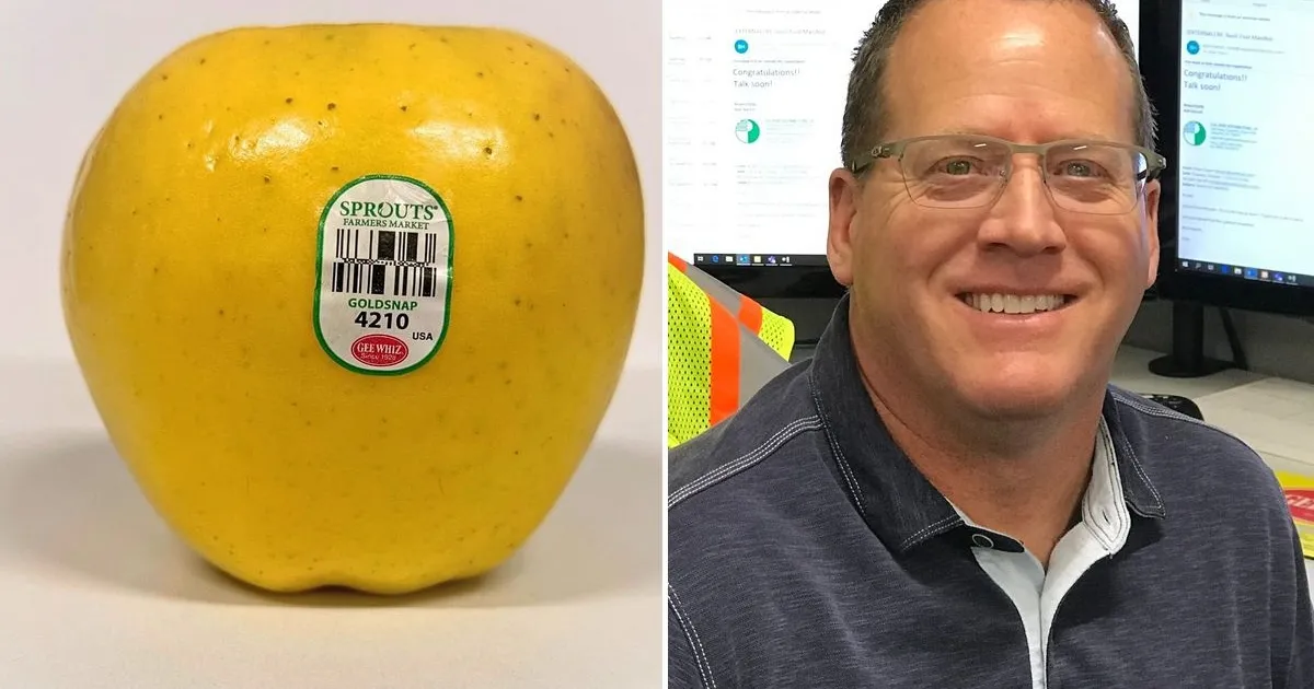 Новый сорт яблок Goldsnap представлен в США