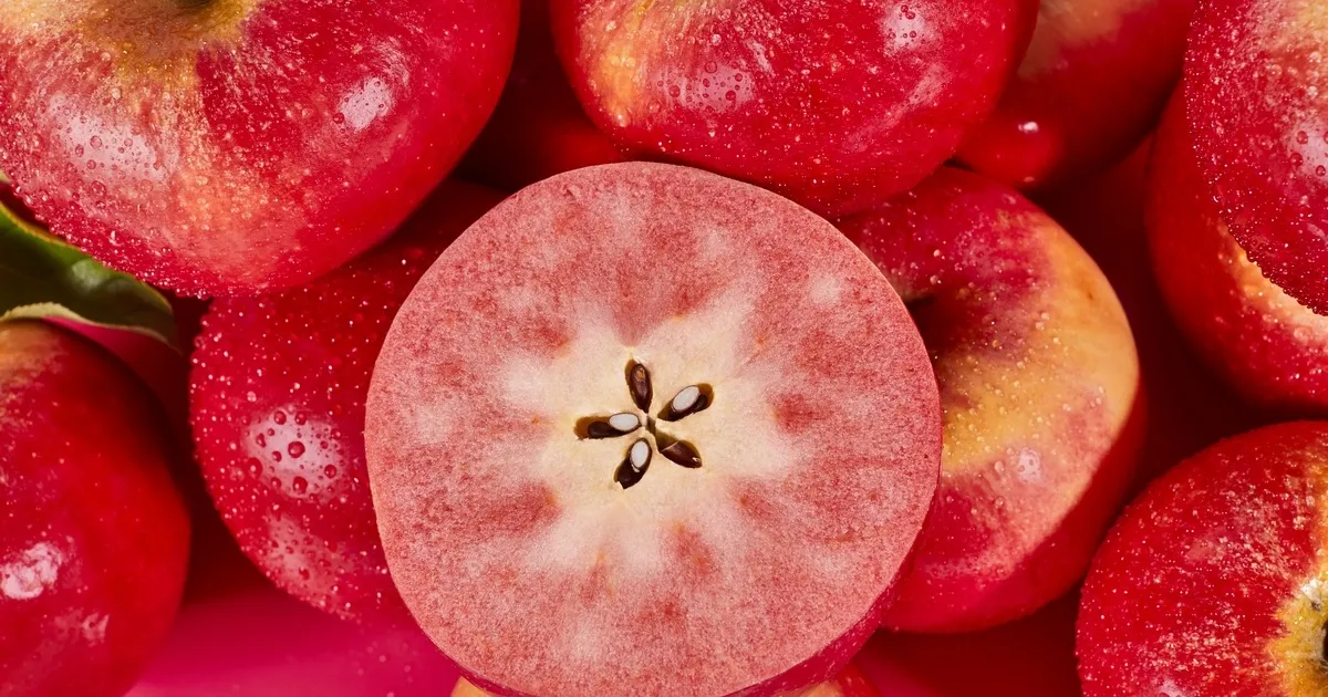 Сбор урожая яблок FIZZ в Новой Зеландии: перспективы сорта