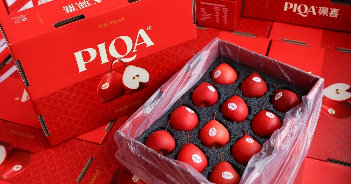 Урожай PIQA Red в Новой Зеландии вырастет на 15% в этом сезоне