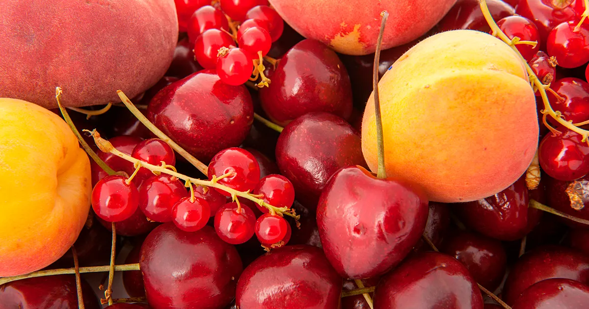 Экспорт косточковых из Новой Зеландии снизился из-за роста внутреннего предложения