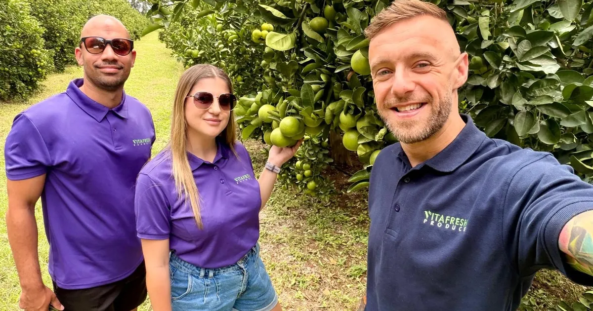 Лимонов не хватает для удовлетворения мирового спроса