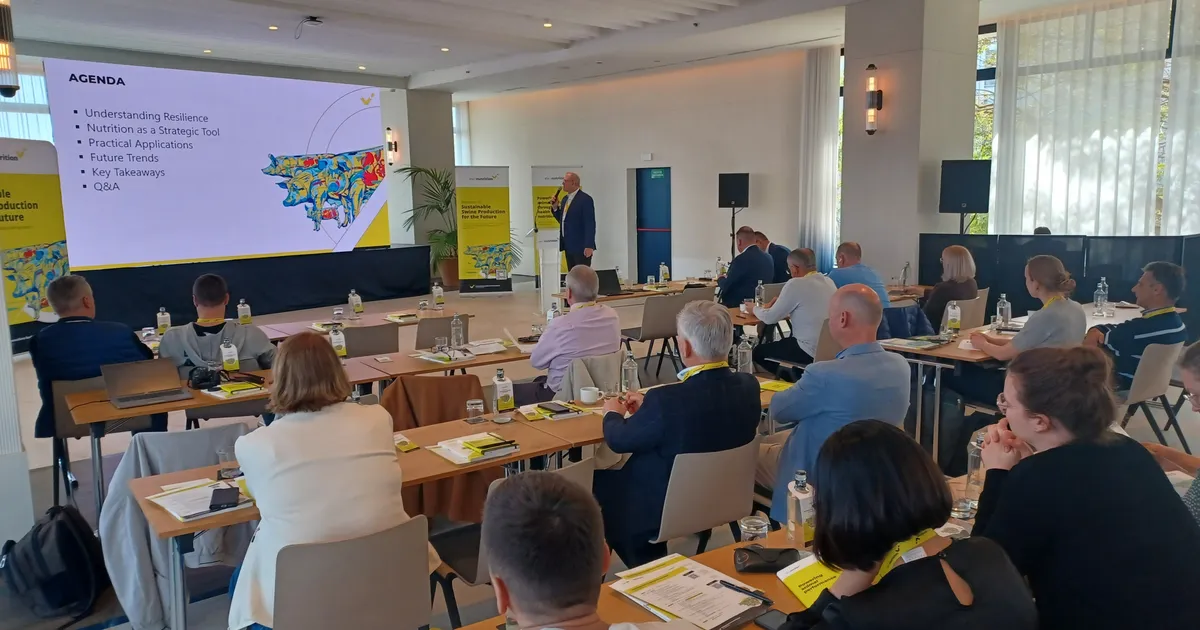 Как фермеры свиноводства готовятся к устойчивому будущему