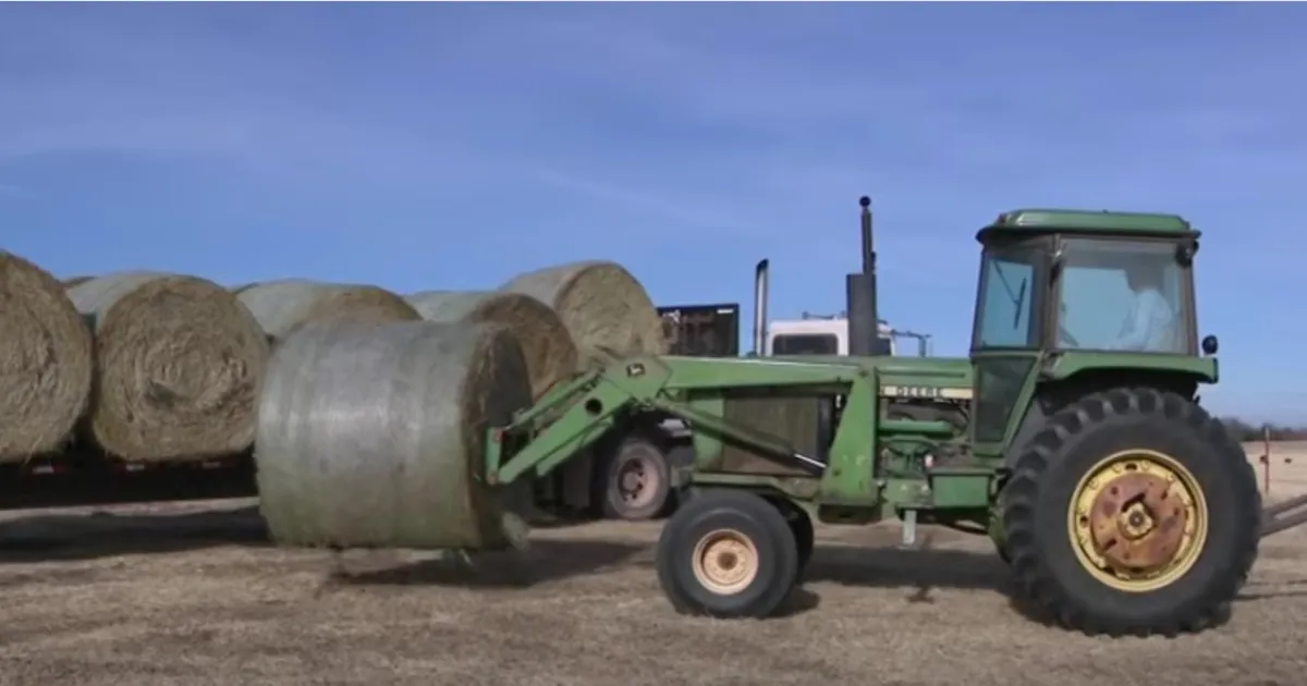 В Оклахоме FFA доставило сено в район пожаров