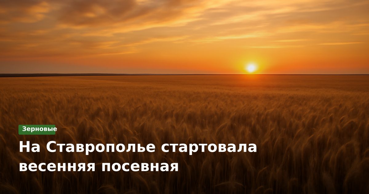 На Ставрополье стартовала весенняя посевная
