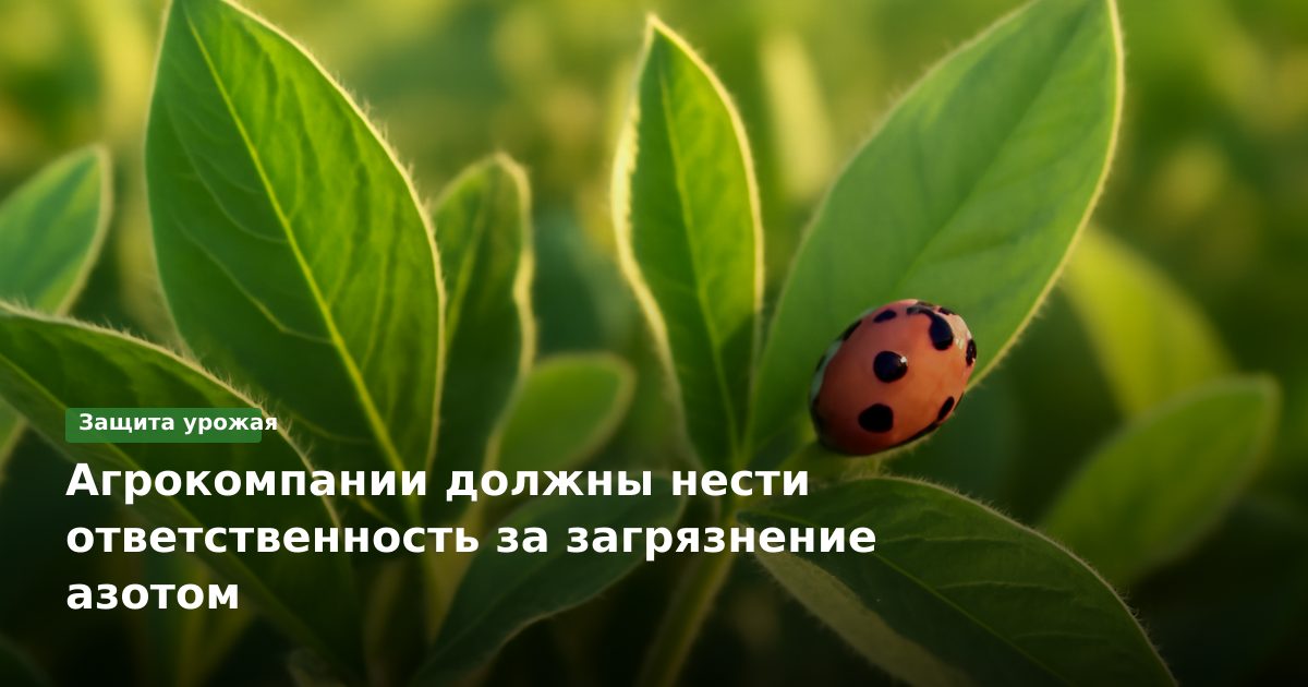 Агрокомпании должны нести ответственность за загрязнение азотом