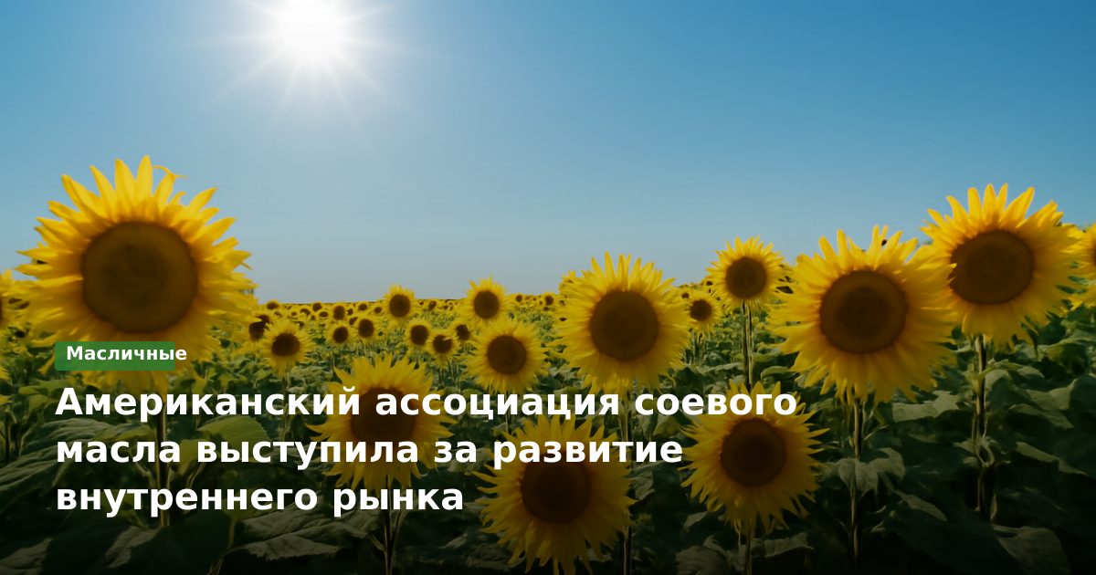 Американский ассоциация соевого масла выступила за развитие внутреннего рынка