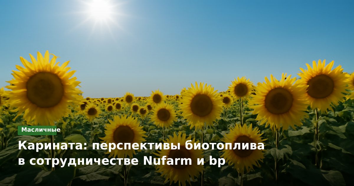 Карината: перспективы биотоплива в сотрудничестве Nufarm и bp