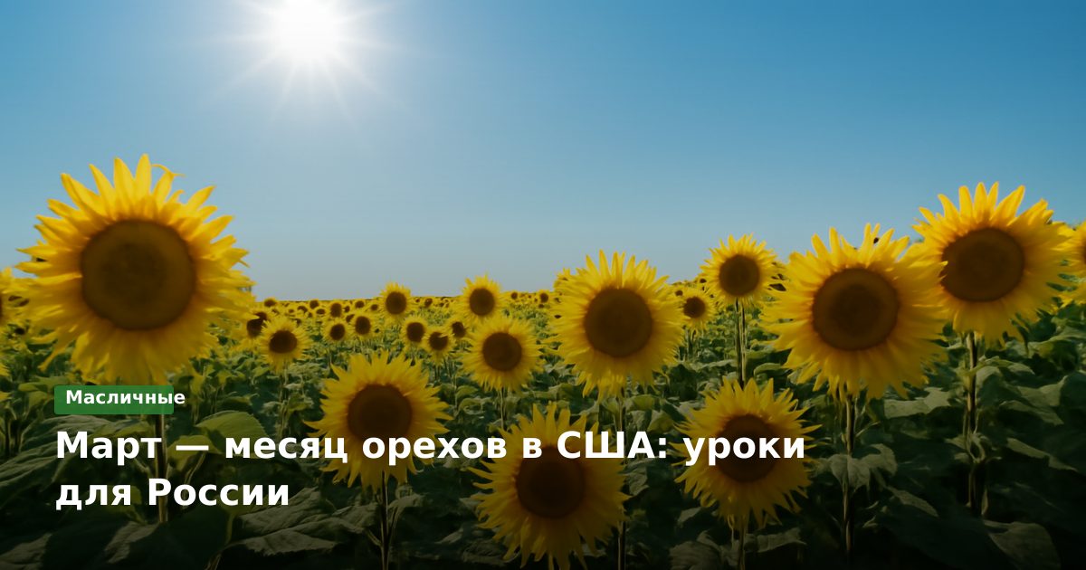 Март — месяц орехов в США: уроки для России