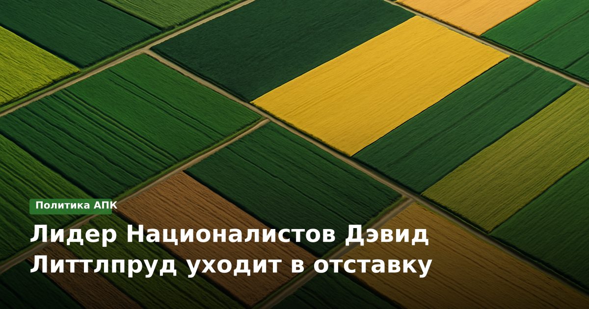 Лидер Националистов Дэвид Литтлпруд уходит в отставку