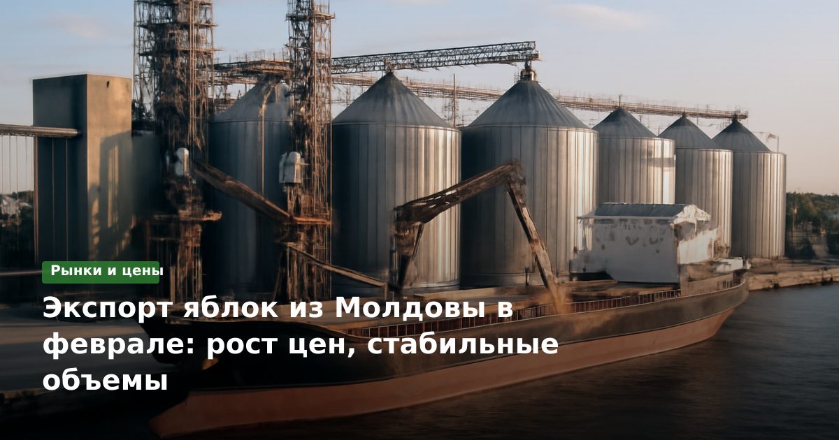 Экспорт яблок из Молдовы в феврале: рост цен, стабильные объемы
