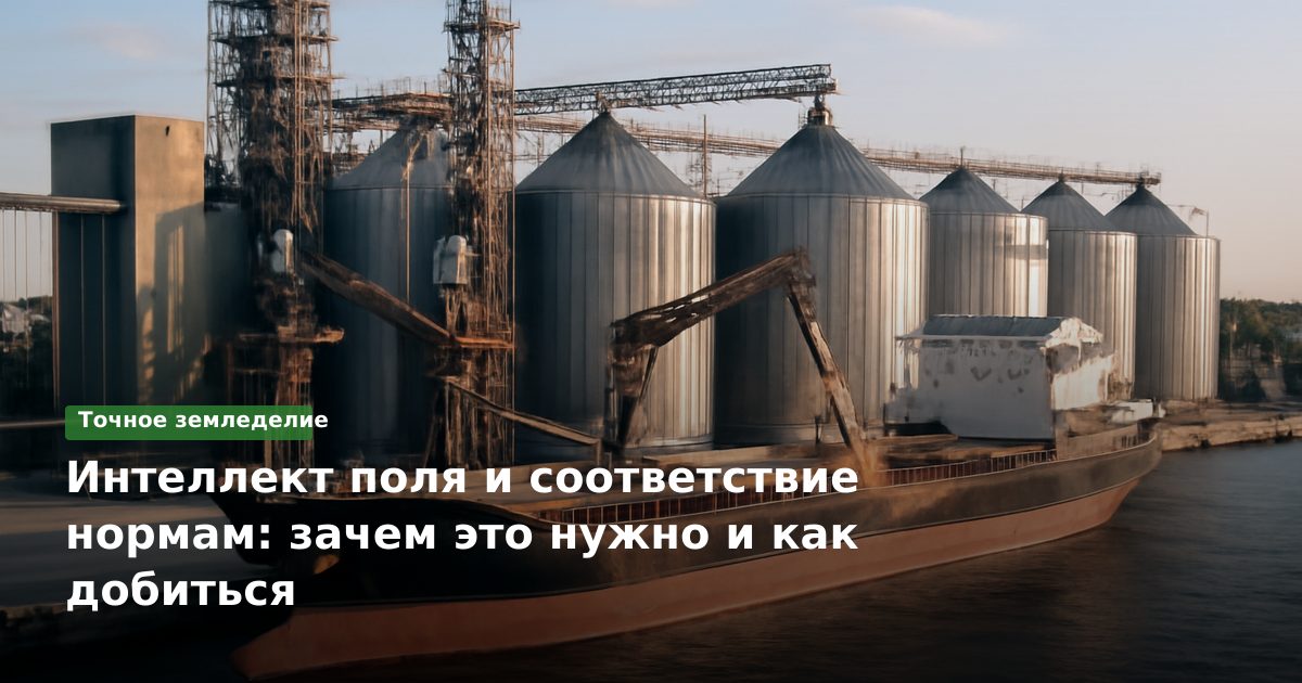 Интеллект поля и соответствие нормам: зачем это нужно и как добиться