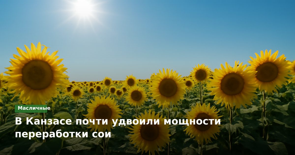 В Канзасе почти удвоили мощности переработки сои
