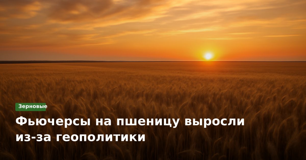 Фьючерсы на пшеницу выросли из-за геополитики