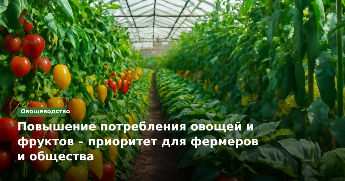 Повышение потребления овощей и фруктов – приоритет для фермеров и общества
