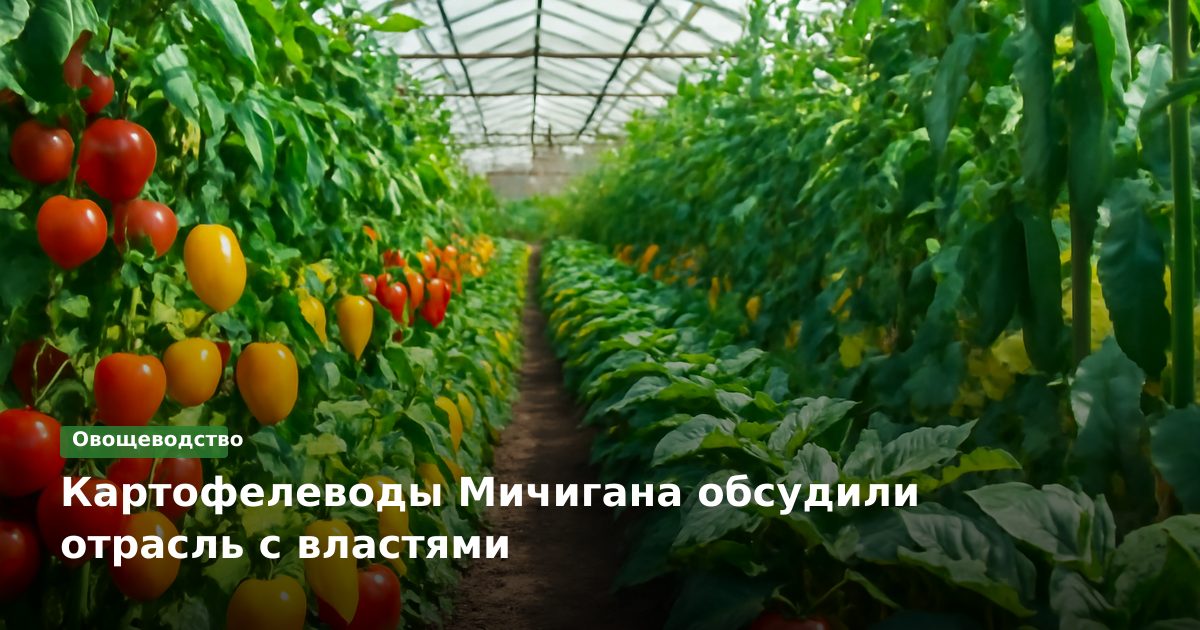 Картофелеводы Мичигана обсудили отрасль с властями