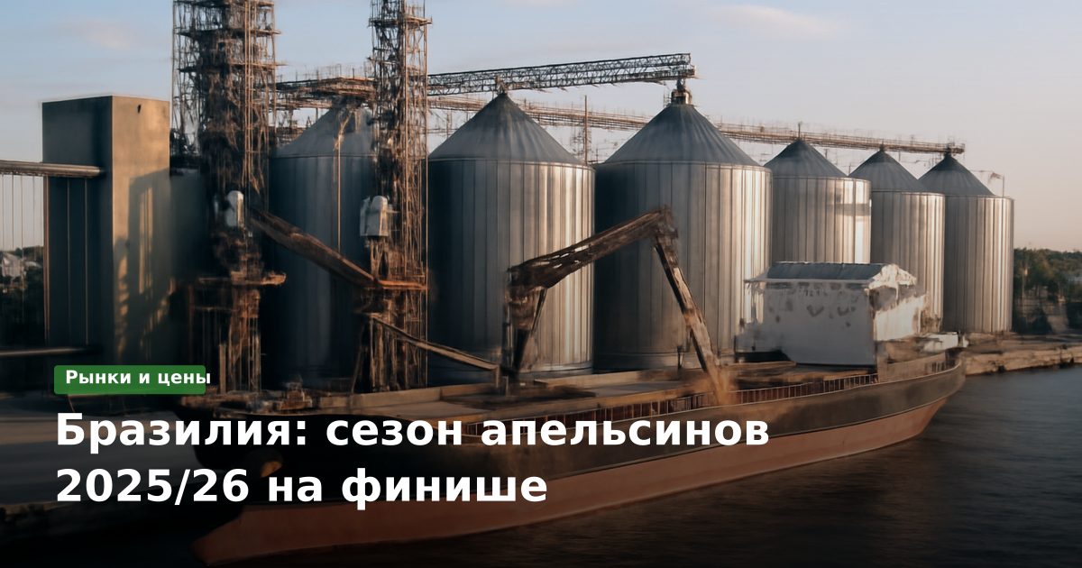Бразилия: сезон апельсинов 2025/26 на финише