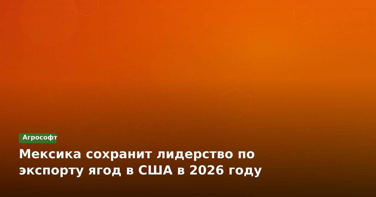 Мексика сохранит лидерство по экспорту ягод в США в 2026 году