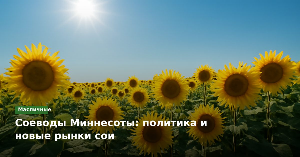 Соеводы Миннесоты: политика и новые рынки сои