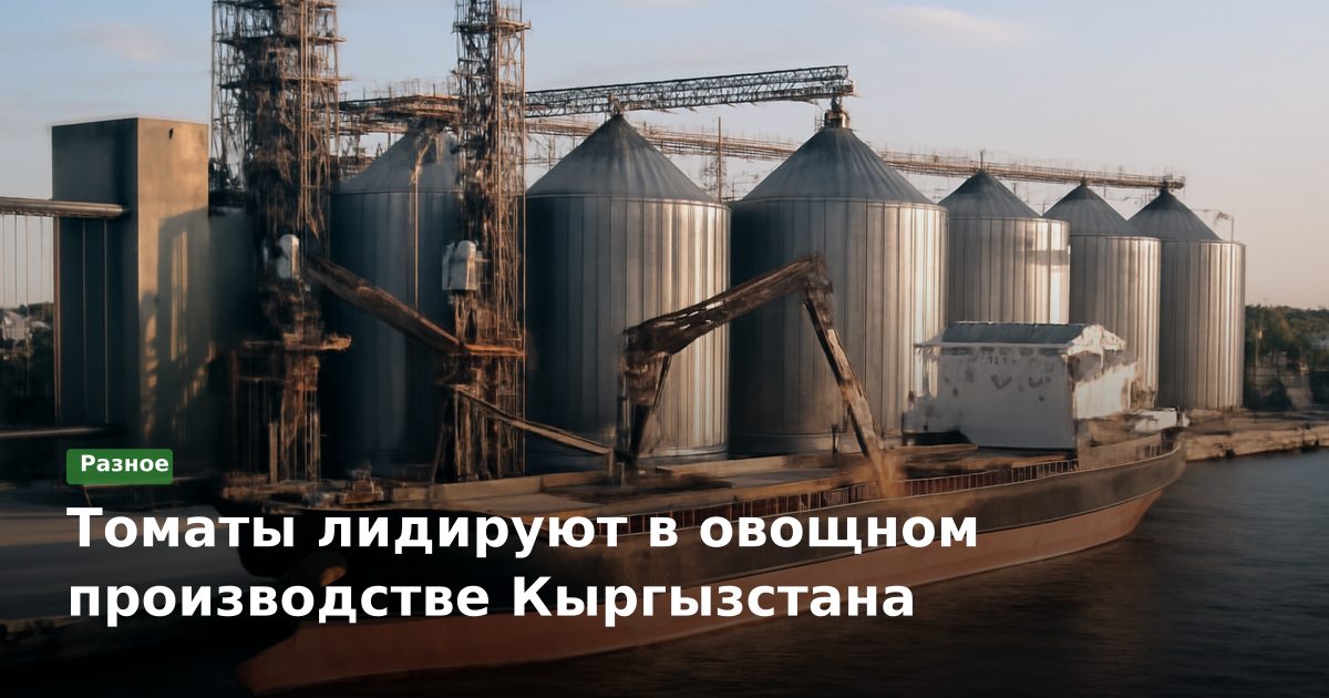 Томаты лидируют в овощном производстве Кыргызстана