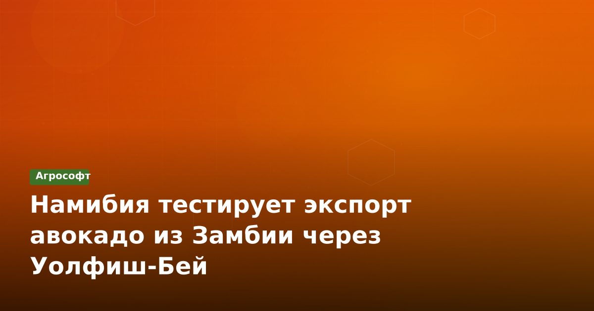 Намибия тестирует экспорт авокадо из Замбии через Уолфиш-Бей