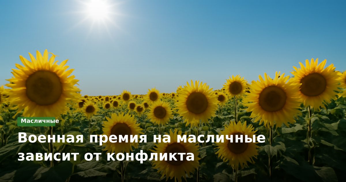 Военная премия на масличные зависит от конфликта