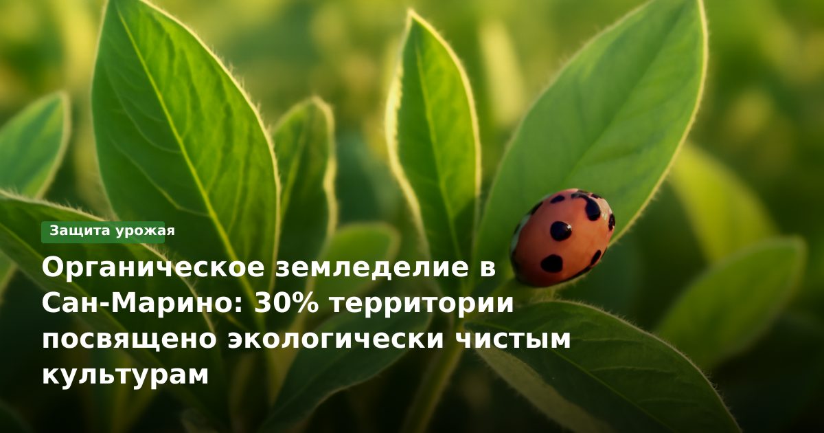Органическое земледелие в Сан-Марино: 30% территории посвящено экологически чистым культурам