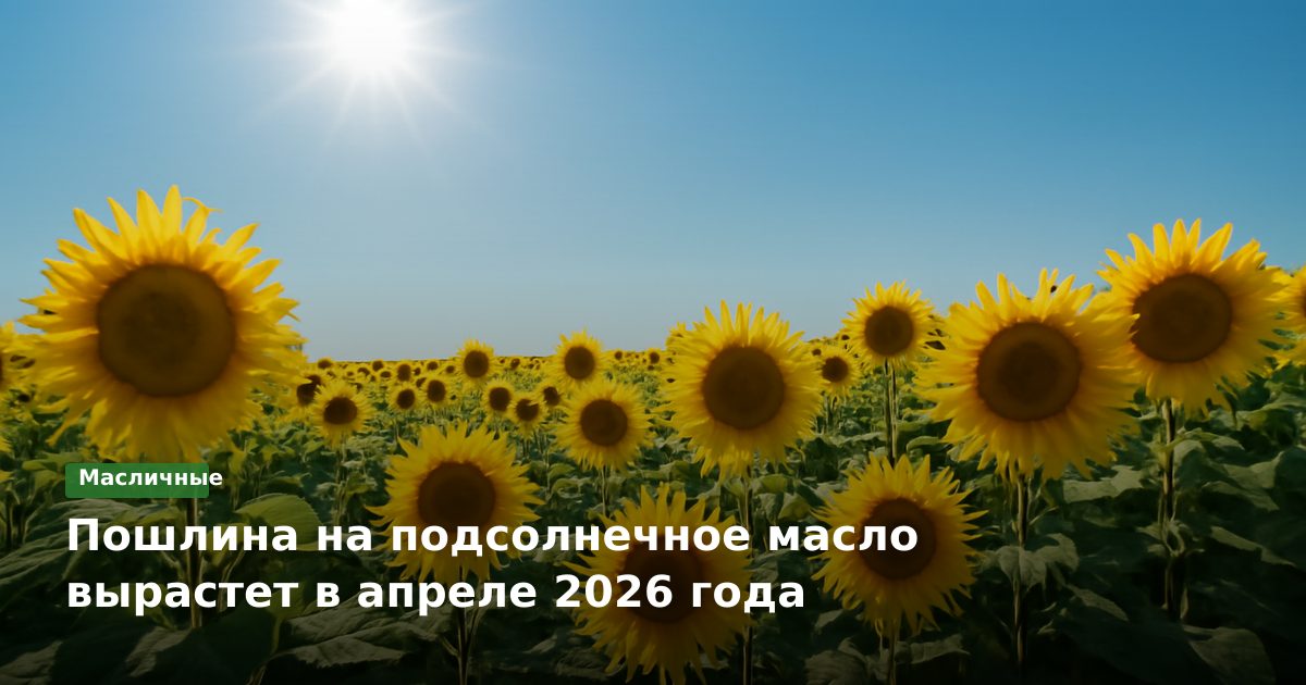 Пошлина на подсолнечное масло вырастет в апреле 2026 года