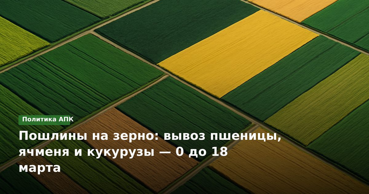 Пошлины на зерно: вывоз пшеницы, ячменя и кукурузы — 0 до 18 марта