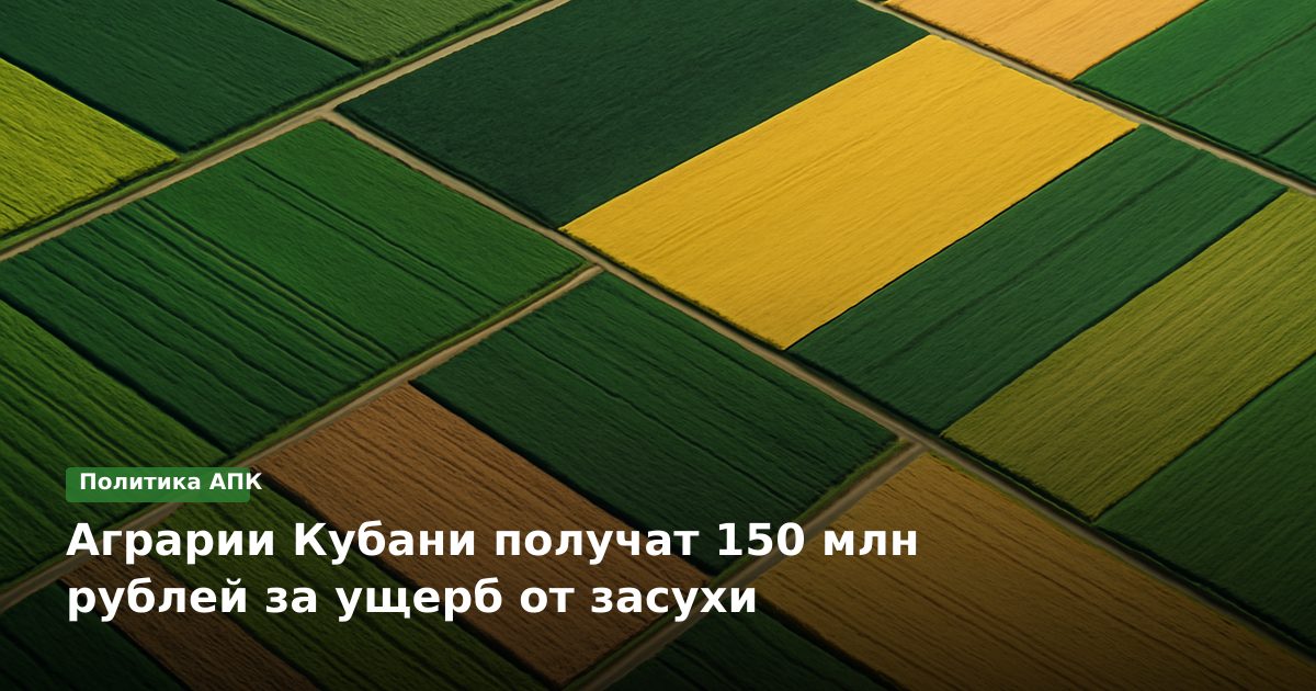 Аграрии Кубани получат 150 млн рублей за ущерб от засухи