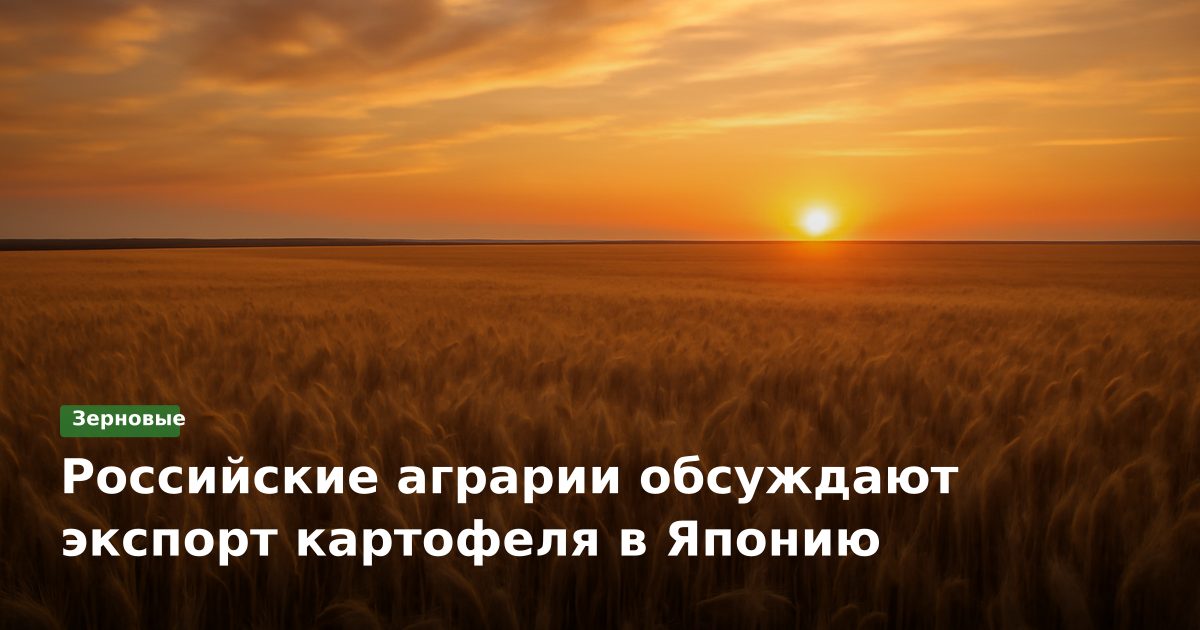 Российские аграрии обсуждают экспорт картофеля в Японию