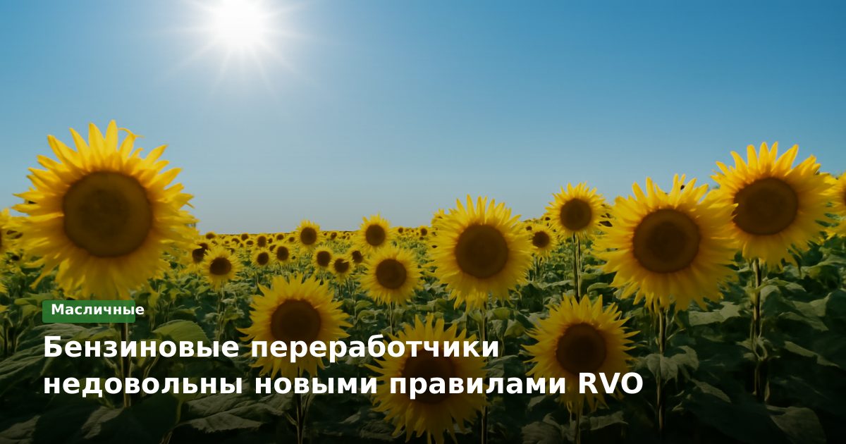 Бензиновые переработчики недовольны новыми правилами RVO