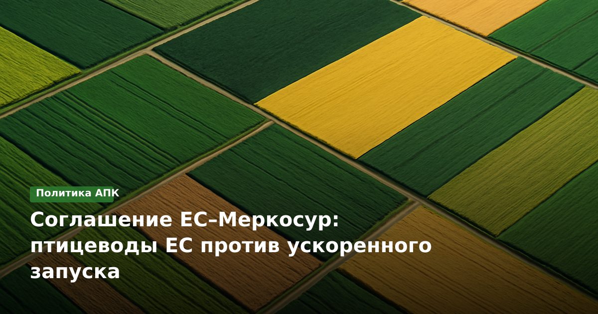 Соглашение ЕС–Меркосур: птицеводы ЕС против ускоренного запуска