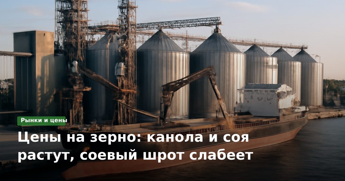 Цены на зерно: канола и соя растут, соевый шрот слабеет