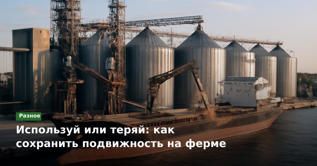 Используй или теряй: как сохранить подвижность на ферме