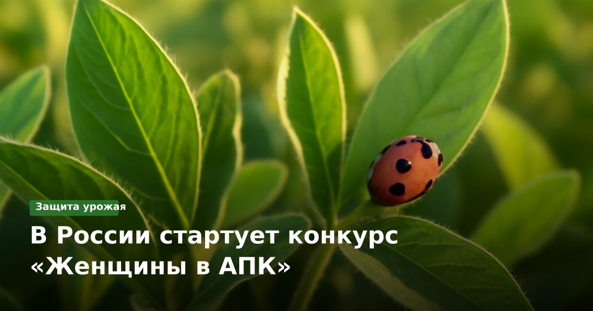 В России стартует конкурс «Женщины в АПК»
