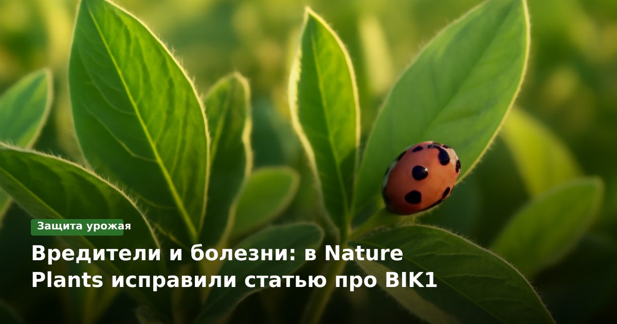 Вредители и болезни: в Nature Plants исправили статью про BIK1