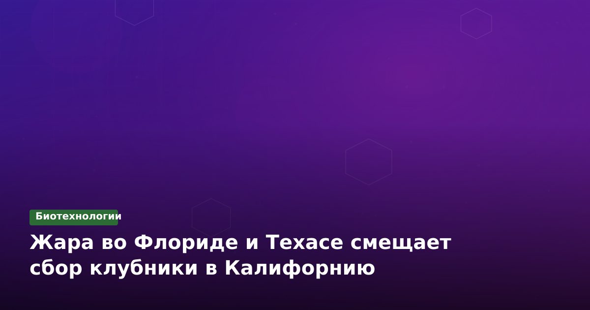 Жара во Флориде и Техасе смещает сбор клубники в Калифорнию