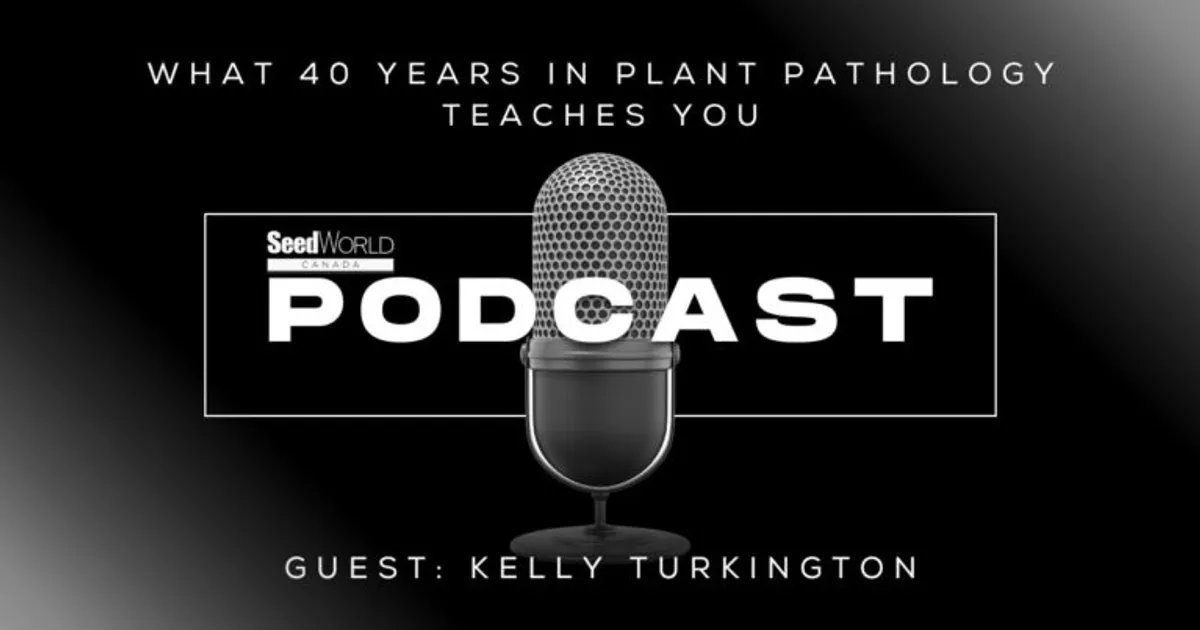 Опыт в фитопатологии: 40 лет работы с фермерами