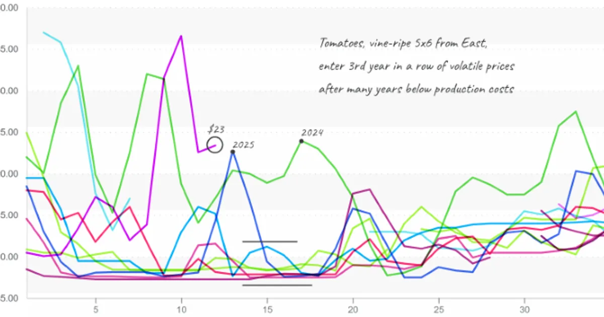 Жара вызывает нестабильность на рынке овощей и фруктов